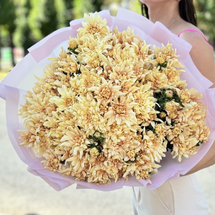 25 персиковых кустовых хризантем Балтика