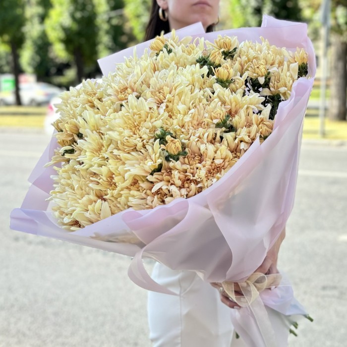 25 персиковых кустовых хризантем Балтика