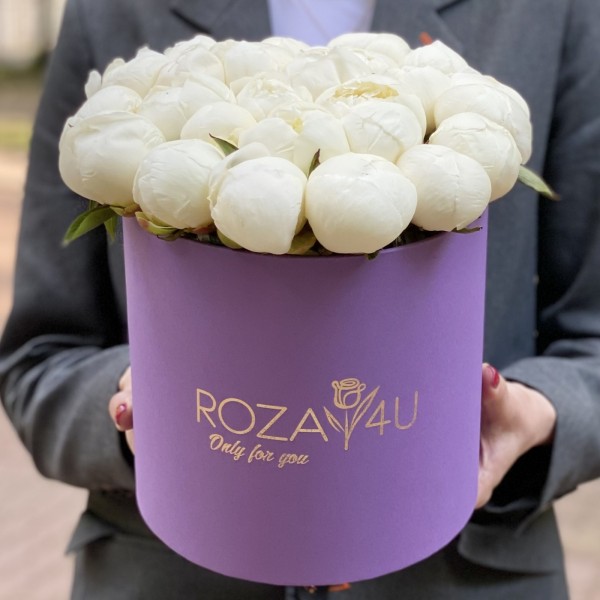 25 пионов Белый Лебедь в коробке