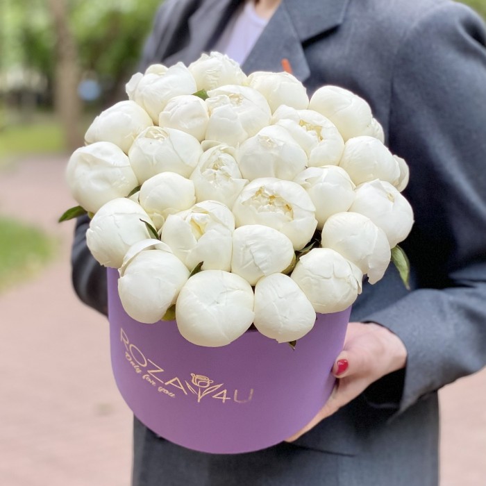 25 пионов Белый Лебедь в коробке