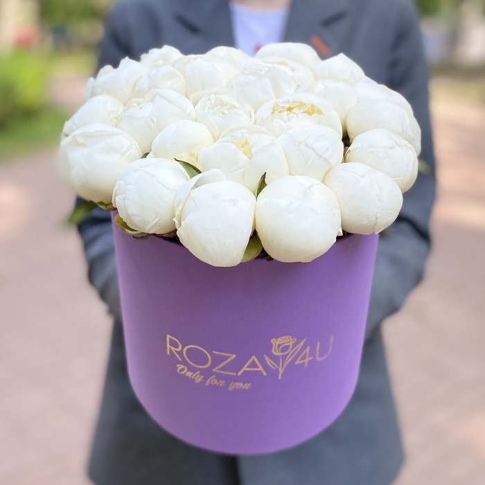 25 пионов Белый Лебедь в коробке