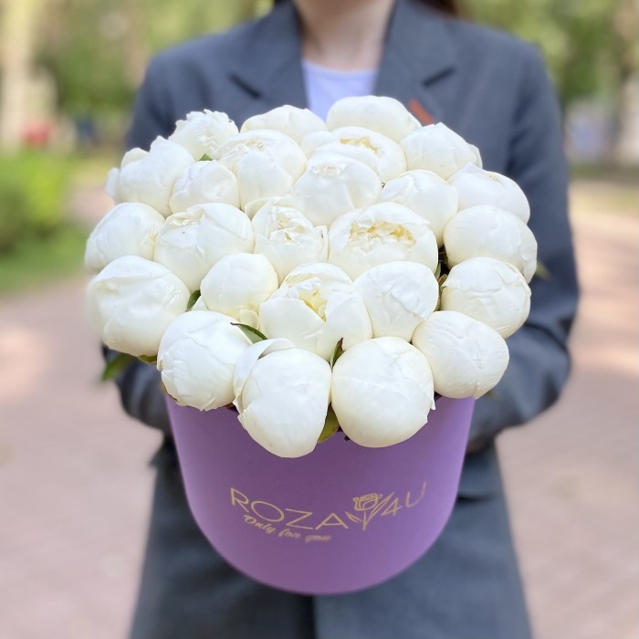 25 пионов Белый Лебедь в коробке