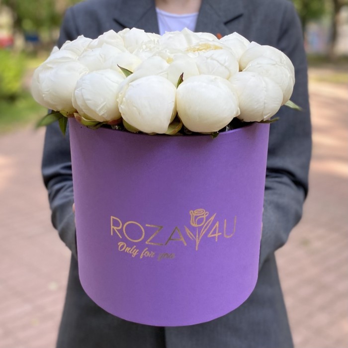 25 пионов Белый Лебедь в коробке