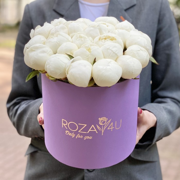 25 пионов Белый Лебедь в коробке