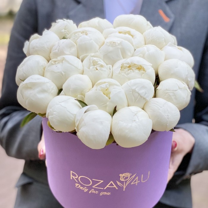 25 пионов Белый Лебедь в коробке