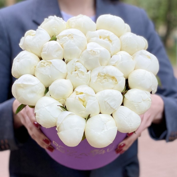 25 пионов Белый Лебедь в коробке