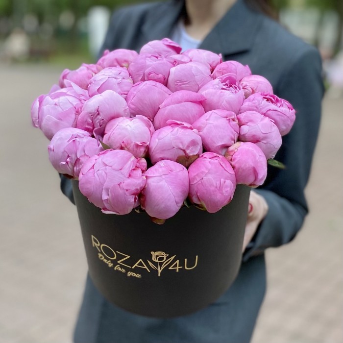 25 малиновых пионов Флеминг в коробке