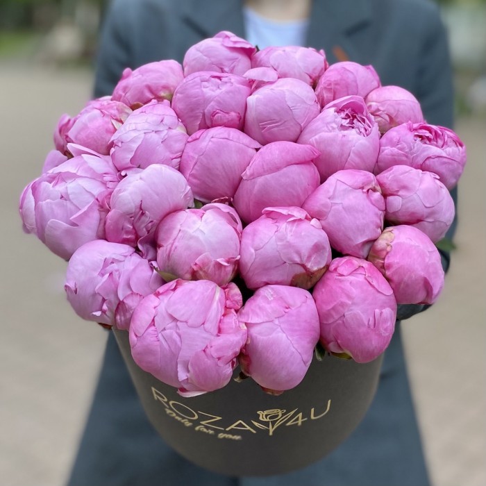 25 малиновых пионов Флеминг в коробке