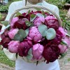 25 пионов Флеминг и Канзас в корзине