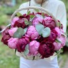 25 пионов Флеминг и Канзас в корзине