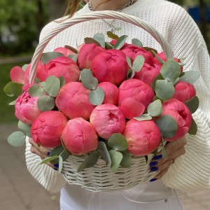25 пионов Корал в корзине с эвкалиптом
