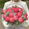 25 пионов Корал в корзине с эвкалиптом