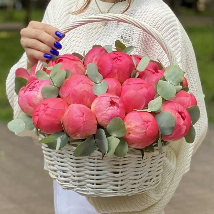 25 пионов Корал в корзине с эвкалиптом