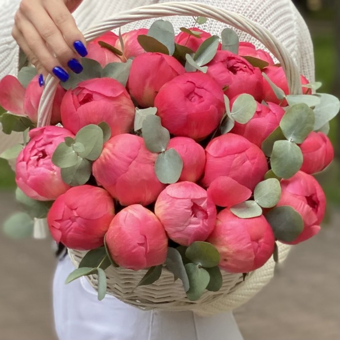 25 пионов Корал в корзине с эвкалиптом