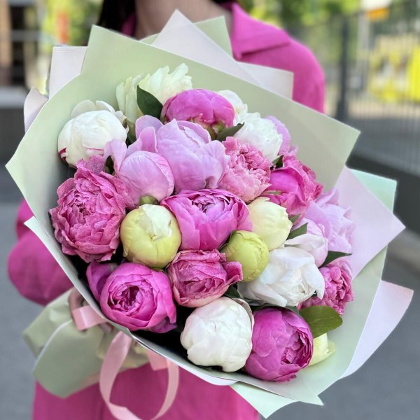 25 пионов ароматный микс в упаковке