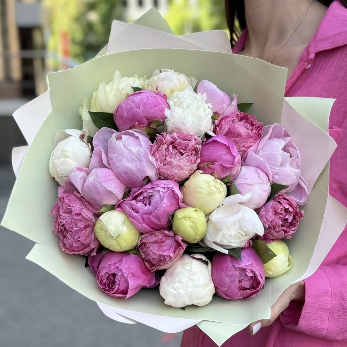 25 пионов ароматный микс в упаковке