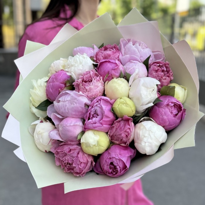 25 пионов ароматный микс в упаковке