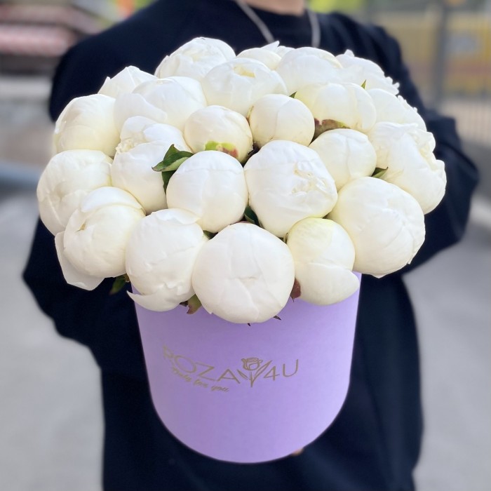 25 пионов Дюшес в коробке