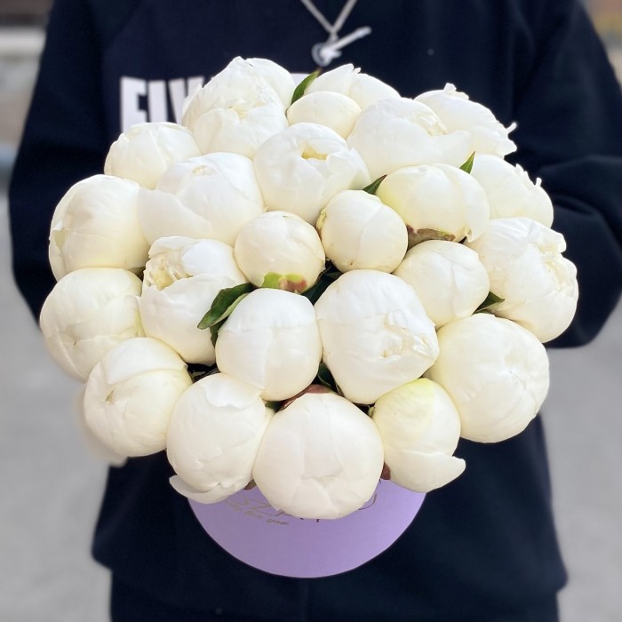 25 пионов Дюшес в коробке