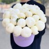25 пионов Дюшес в коробке