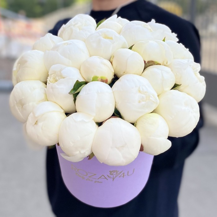 25 пионов Дюшес в коробке