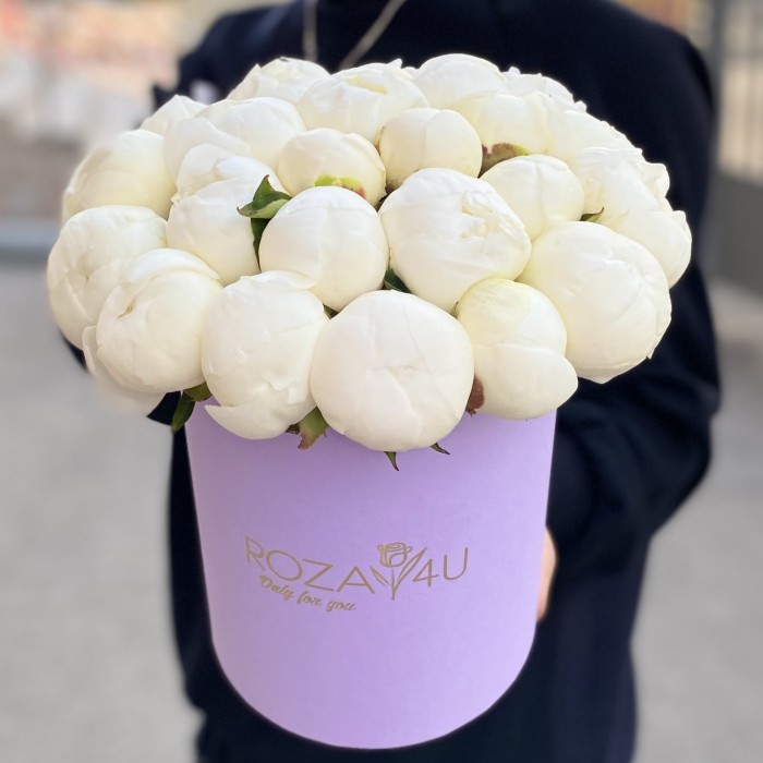 25 пионов Дюшес в коробке