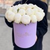 25 пионов Дюшес в коробке