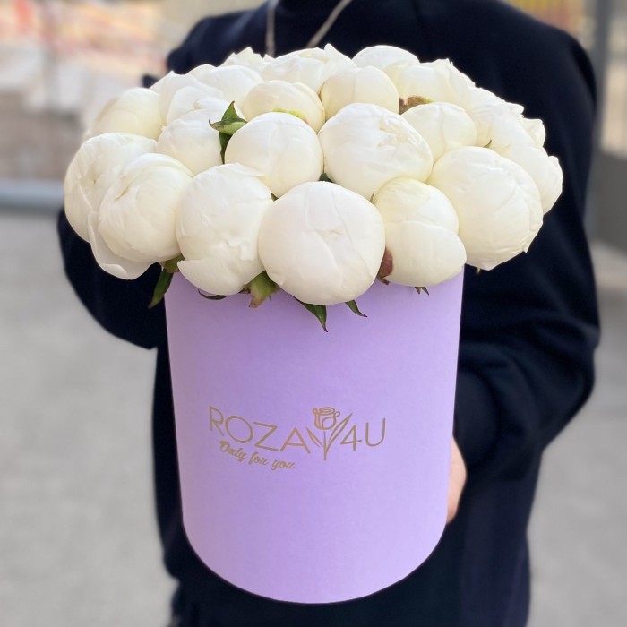 25 пионов Дюшес в коробке