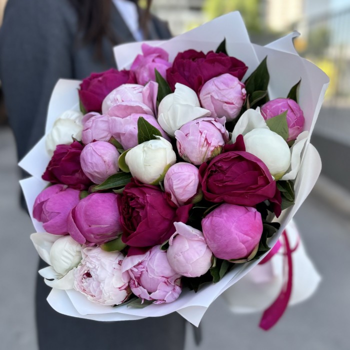 25 пионов микс в упаковке