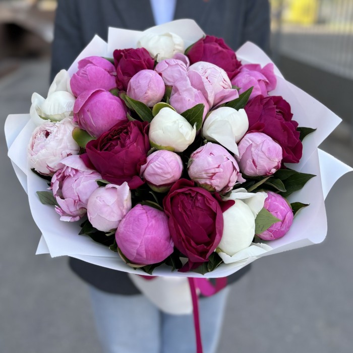 25 пионов микс в упаковке