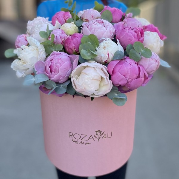 25 пионов Нежный микс в коробке