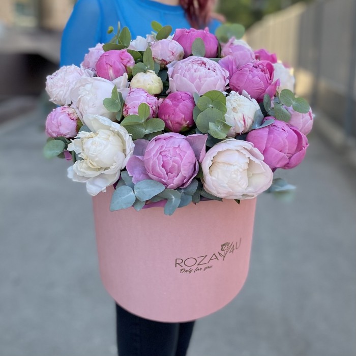 25 пионов Нежный микс в коробке