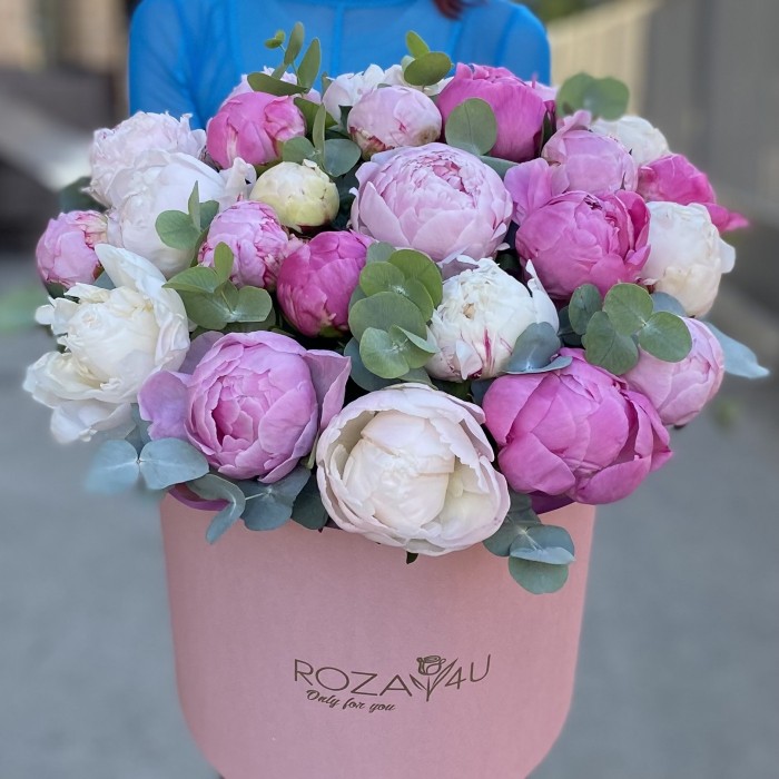 25 пионов Нежный микс в коробке