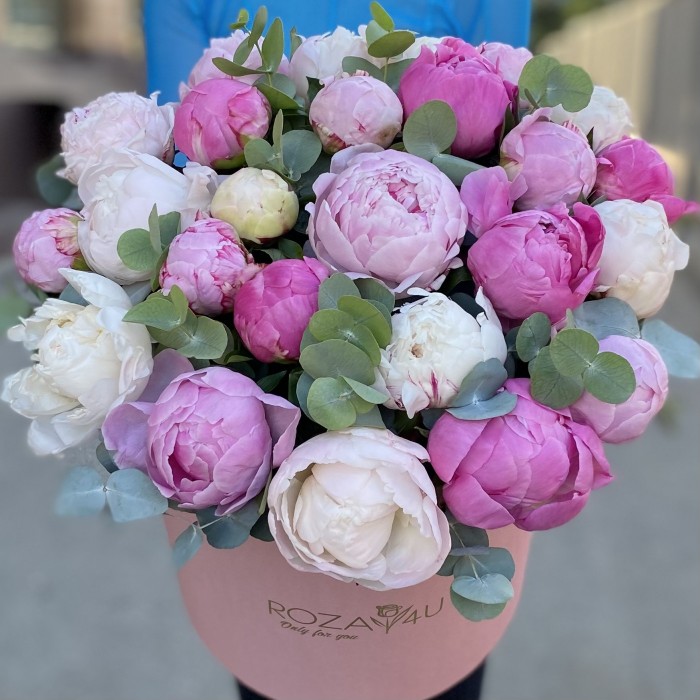 25 пионов Нежный микс в коробке