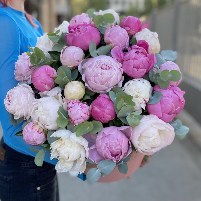 25 пионов Нежный микс в коробке