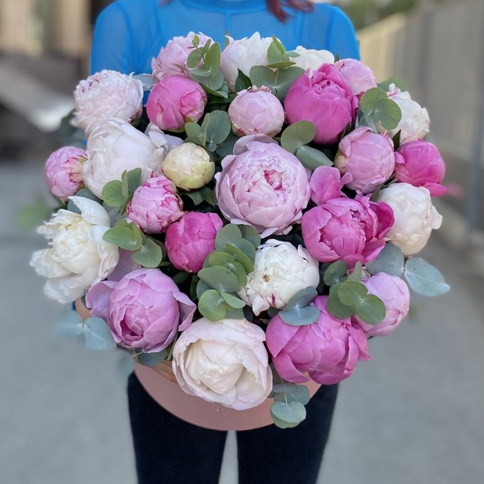 25 пионов Нежный микс в коробке