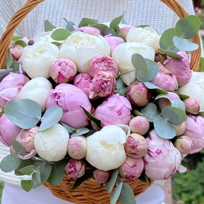 25 пионов с эвкалиптом в корзине