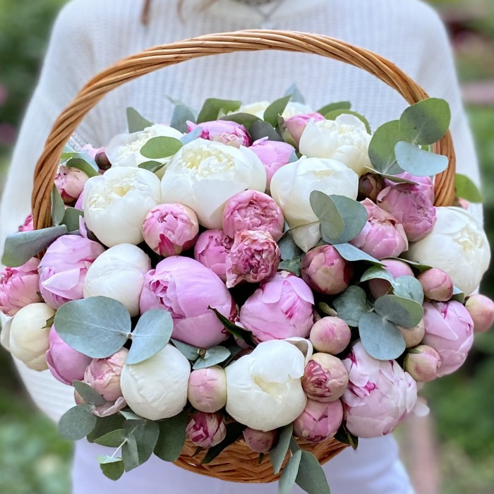 25 пионов с эвкалиптом в корзине