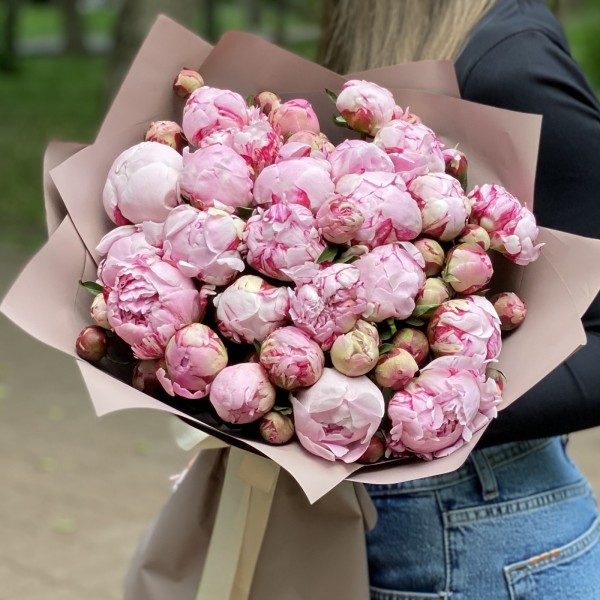 25 Пионов Сара Бернар кустовые