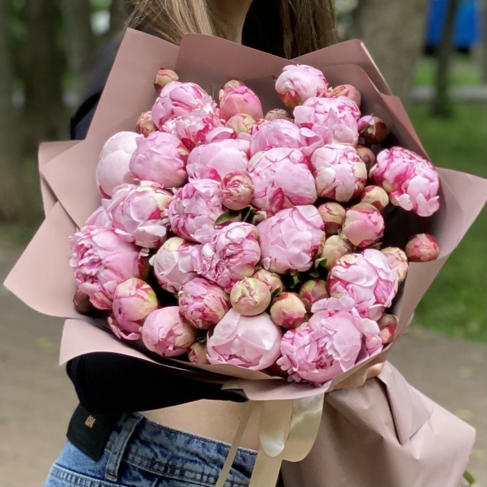 25 Пионов Сара Бернар кустовые