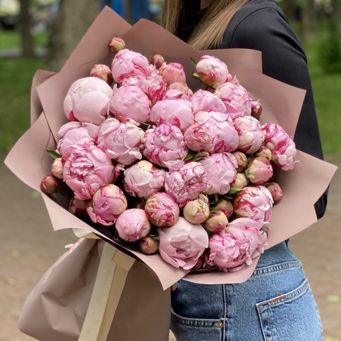 25 Пионов Сара Бернар кустовые