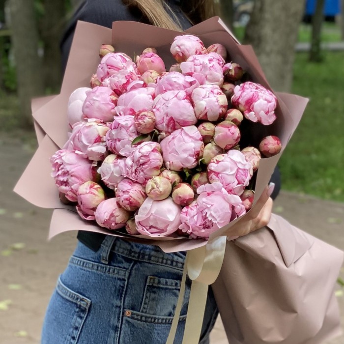 25 Пионов Сара Бернар кустовые