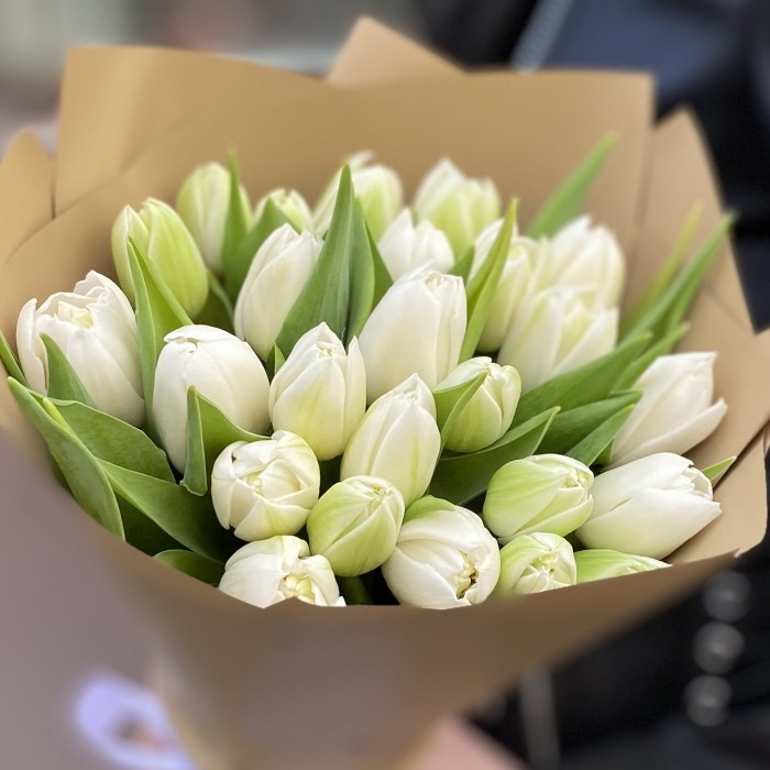 25 пионовидных белых тюльпанов в упаковке