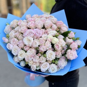 25 пионовидных кустовых роз Энджел Бомбастик