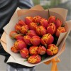 25 пионовидных  тюльпанов Мира