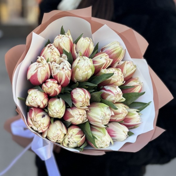 25 пионовидных тюльпанов Вермонт