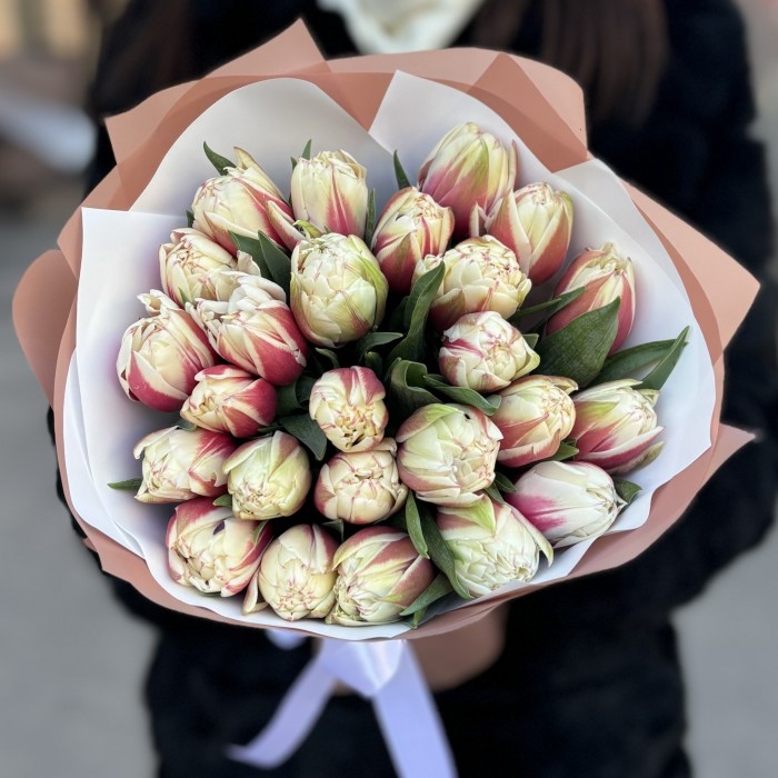 25 пионовидных тюльпанов Вермонт