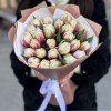 25 пионовидных тюльпанов Вермонт