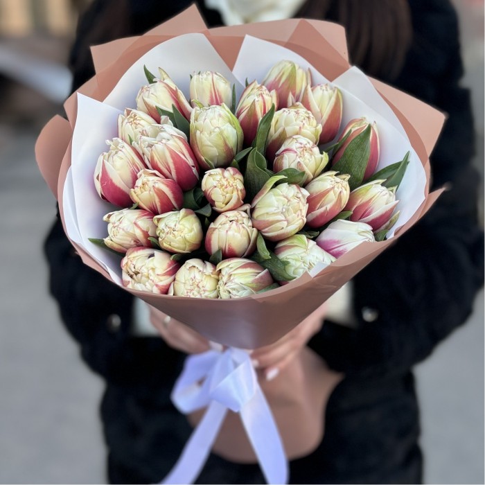 25 пионовидных тюльпанов Вермонт