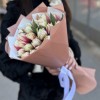 25 пионовидных тюльпанов Вермонт